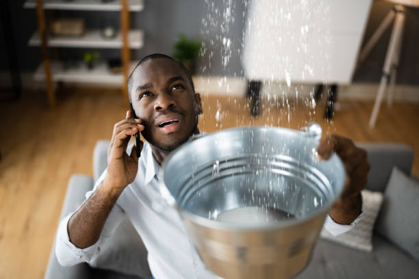 Best Ceiling water damage repair  in Lake Lorraine, FL
