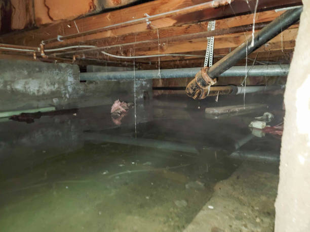 Best Residential water damage restoration  in Lake Lorraine, FL