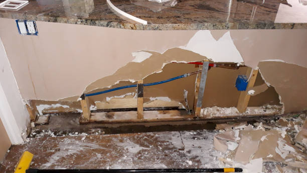 Best Water damage cleanup near me  in Lake Lorraine, FL