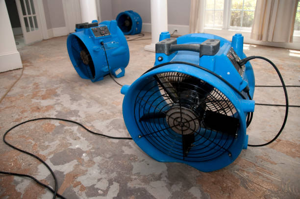 Best Local water damage restoration  in Lake Lorraine, FL