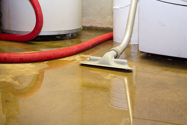 Best Flood restoration services  in Lake Lorraine, FL