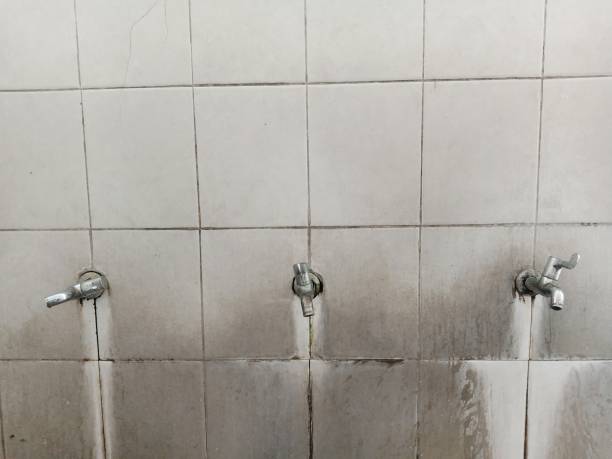 Best Water damage restoration mold remediation  in Lake Lorraine, FL