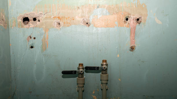 Best Residential water damage restoration  in Lake Lorraine, FL